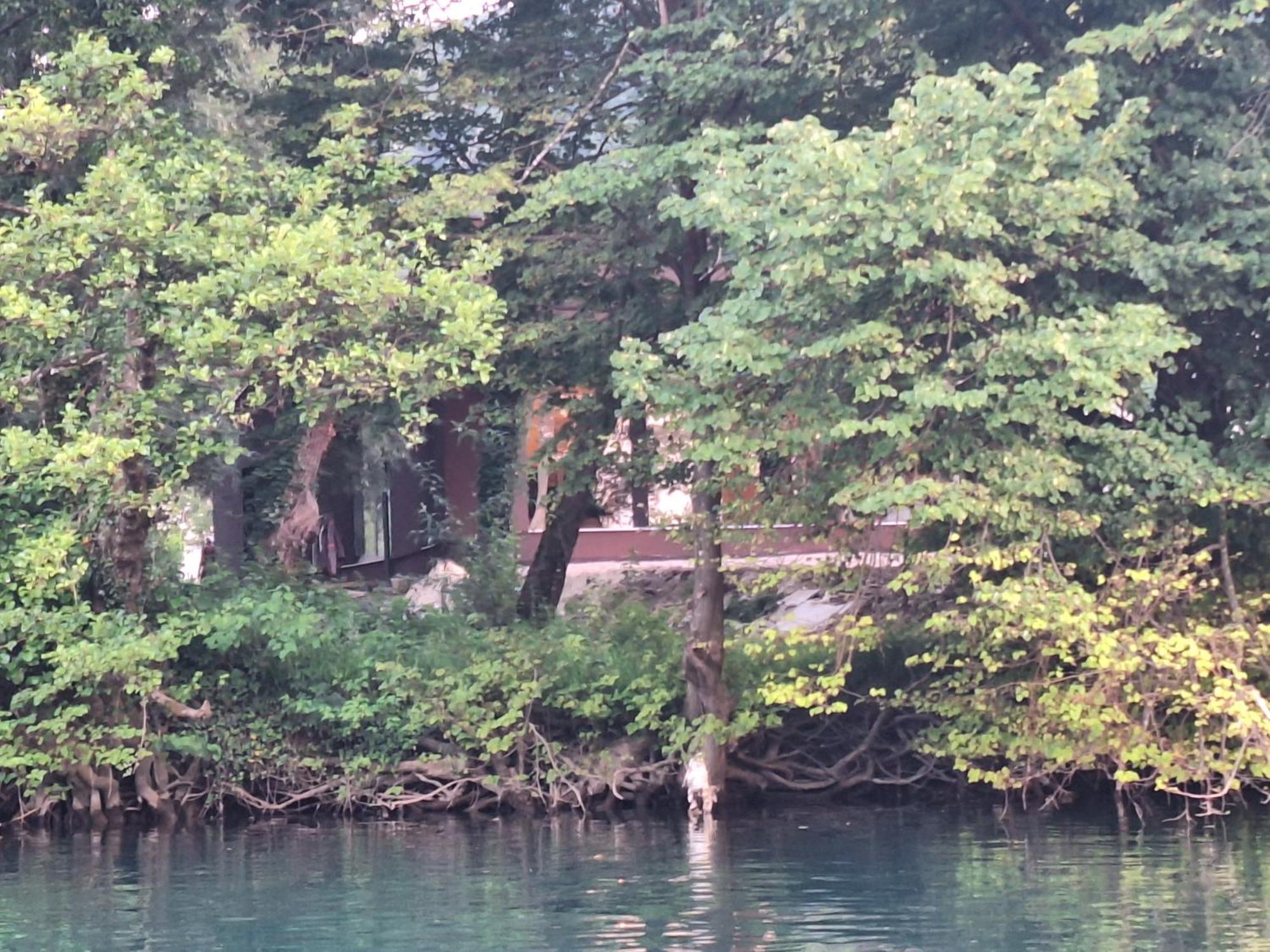 Farah Superior Apartments Bihać Rum bild