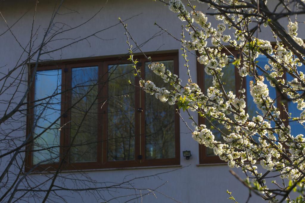 Farah Superior Apartments Bihać Exteriör bild